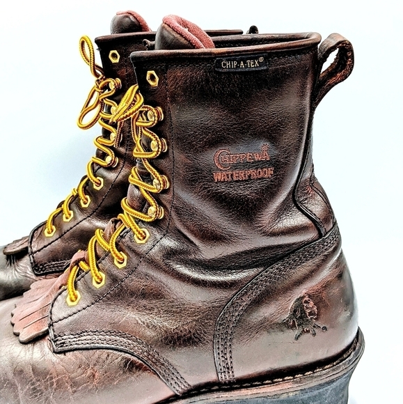 Chippewa Men's boot Paladin Briar Insulated - Picture 3 of 13